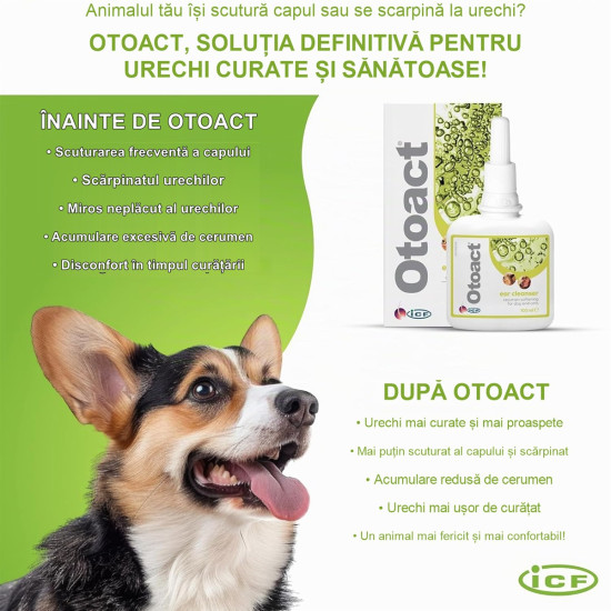Soluție Auriculară ICF Otoact – Pentru Câini și Pisici – 100 ml
